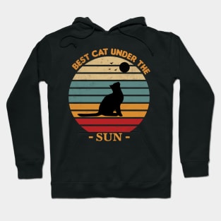 Retro Vintage Sunset Cat Hoodie